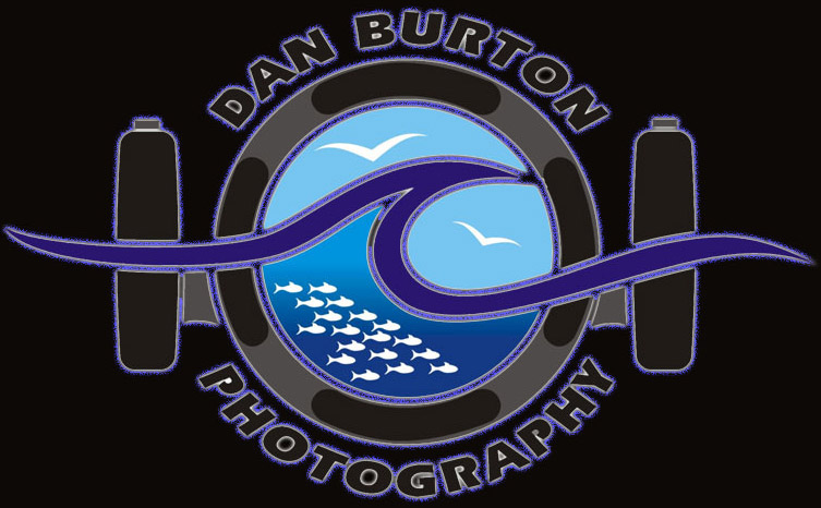 Click Here to see the site!