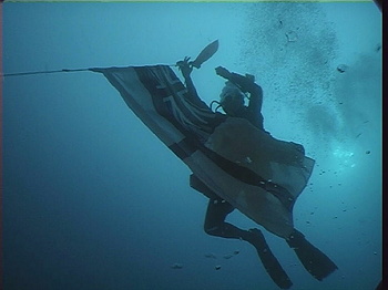 Raising the Ensign