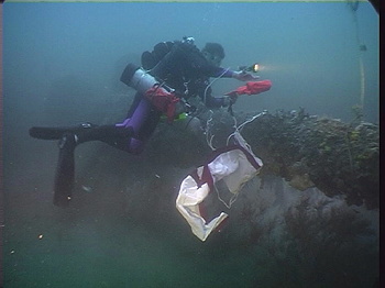 Guy Wallis Raising the White Ensign